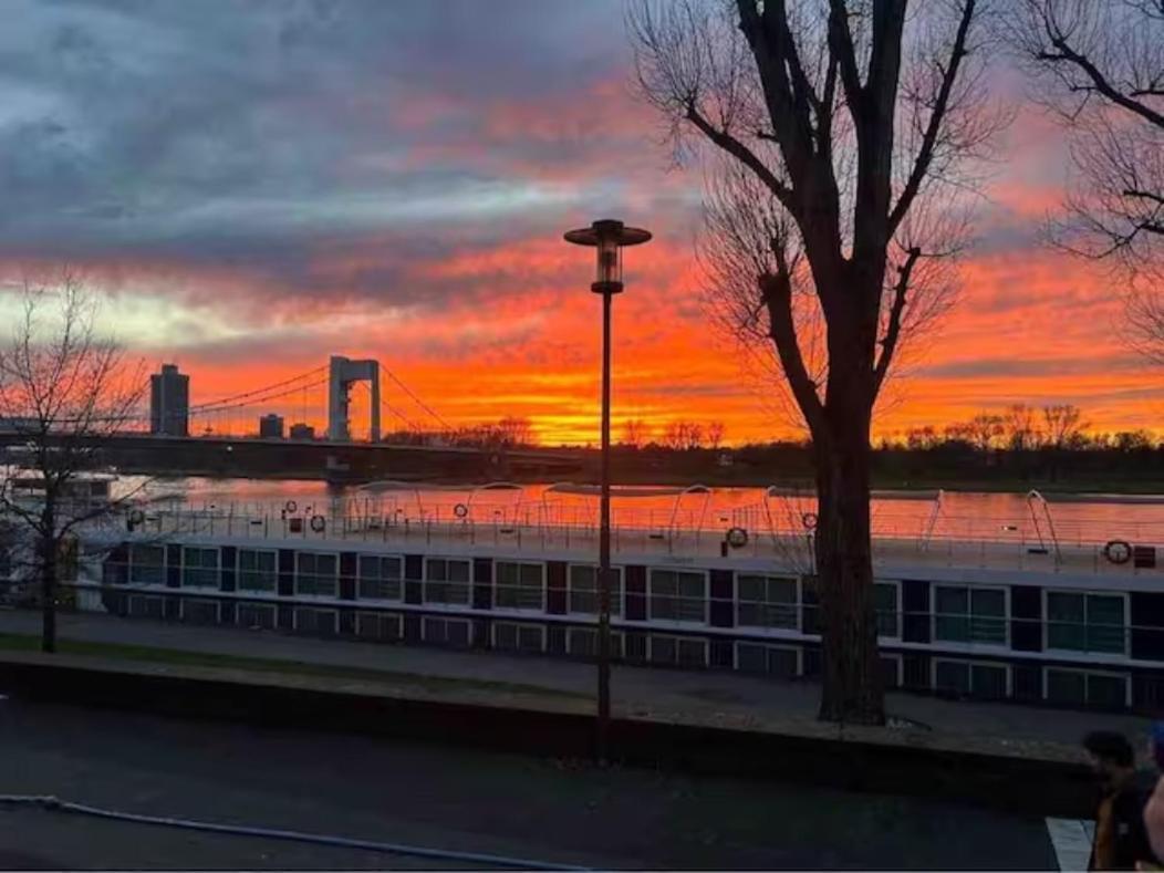Zimmer In Koeln Exteriör bild
